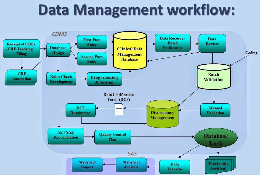 Диаграмма Workflow Data Management для Clinical Trials